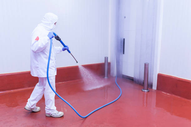 Best Roof Washing  in Deforest, WI